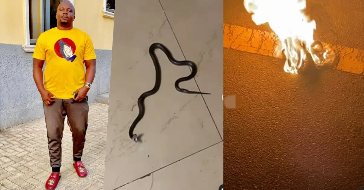 what-are-you-looking-for-in-my-house-kelvin-chizzy-shares-video-of-snake-that-attacked-him-at-the-dead-of-night-2391185