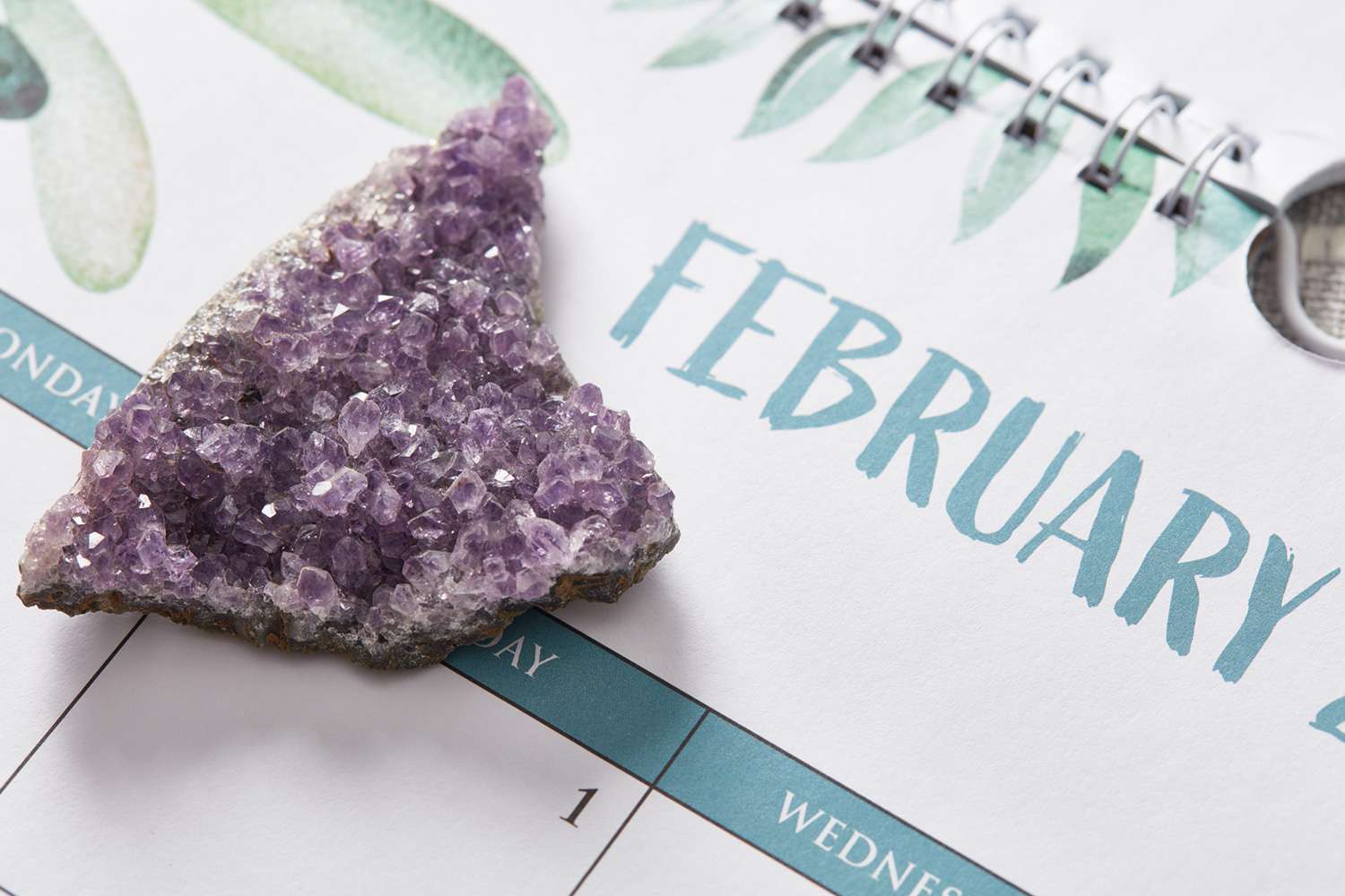 February Meaning, Birthstone, Zodiac Sign, Horoscope